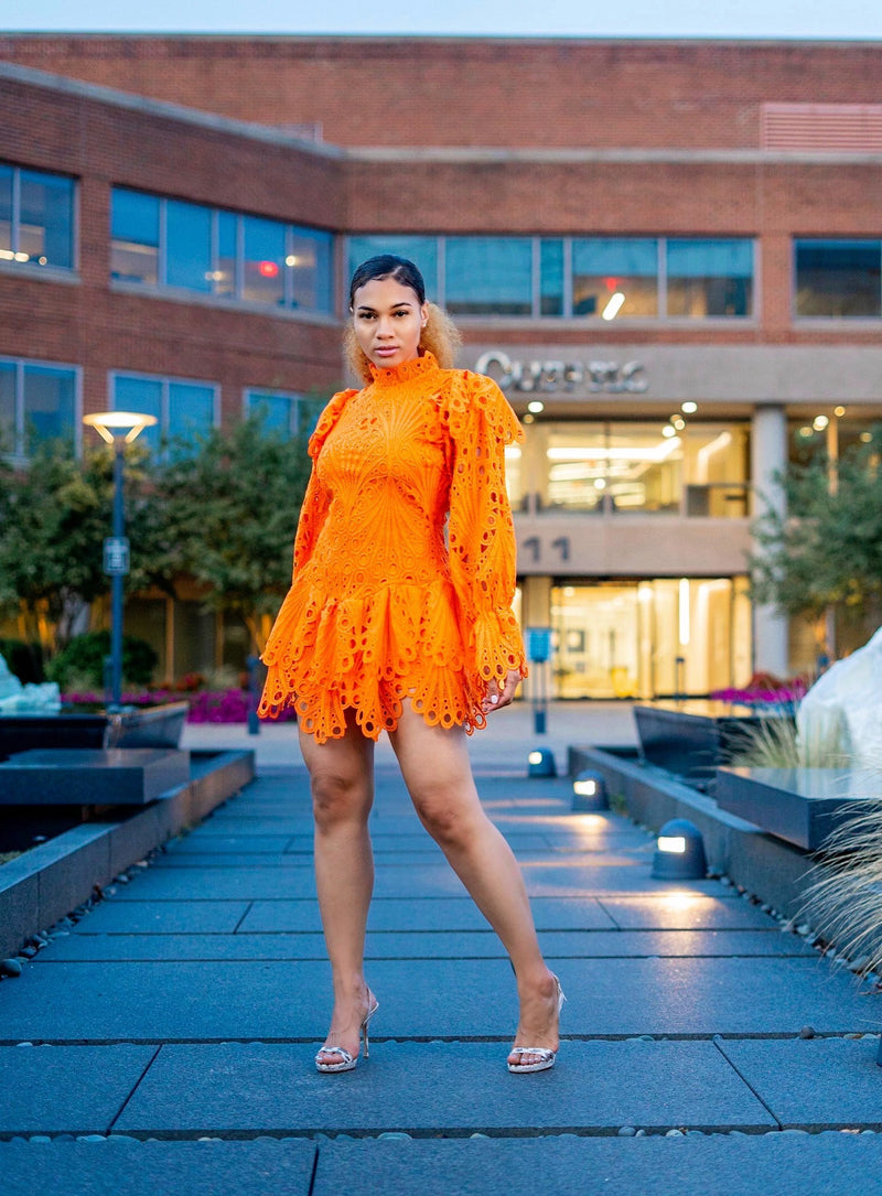 Maiya Embroidered Dress